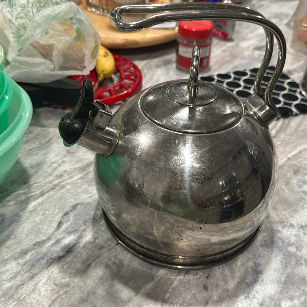 Stainless steel Teapot